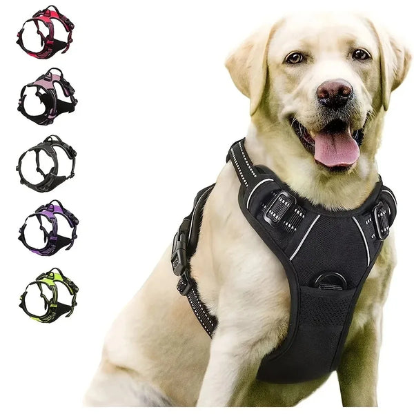 Hundehalsband-Set aus Leder – Halsband, Geschirr & Leine, für kleine bis große Hunde, alle Lebensphasen
