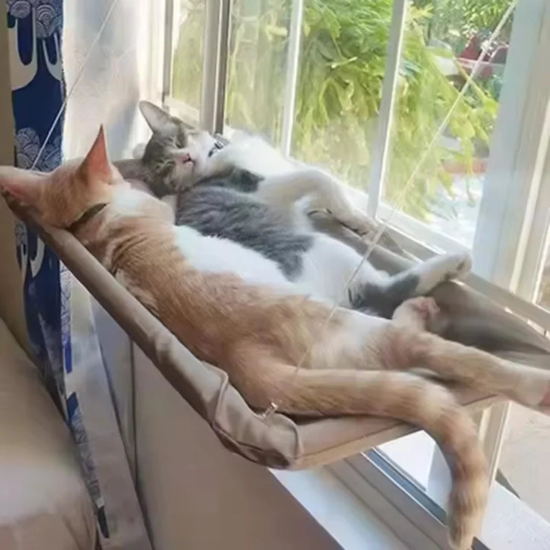 Katzen-Hängematte Fenster – Saugnäpfe, sicherer Aussichtsplatz, verstellbar
