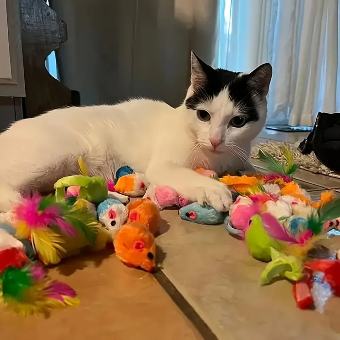 Für Katzen