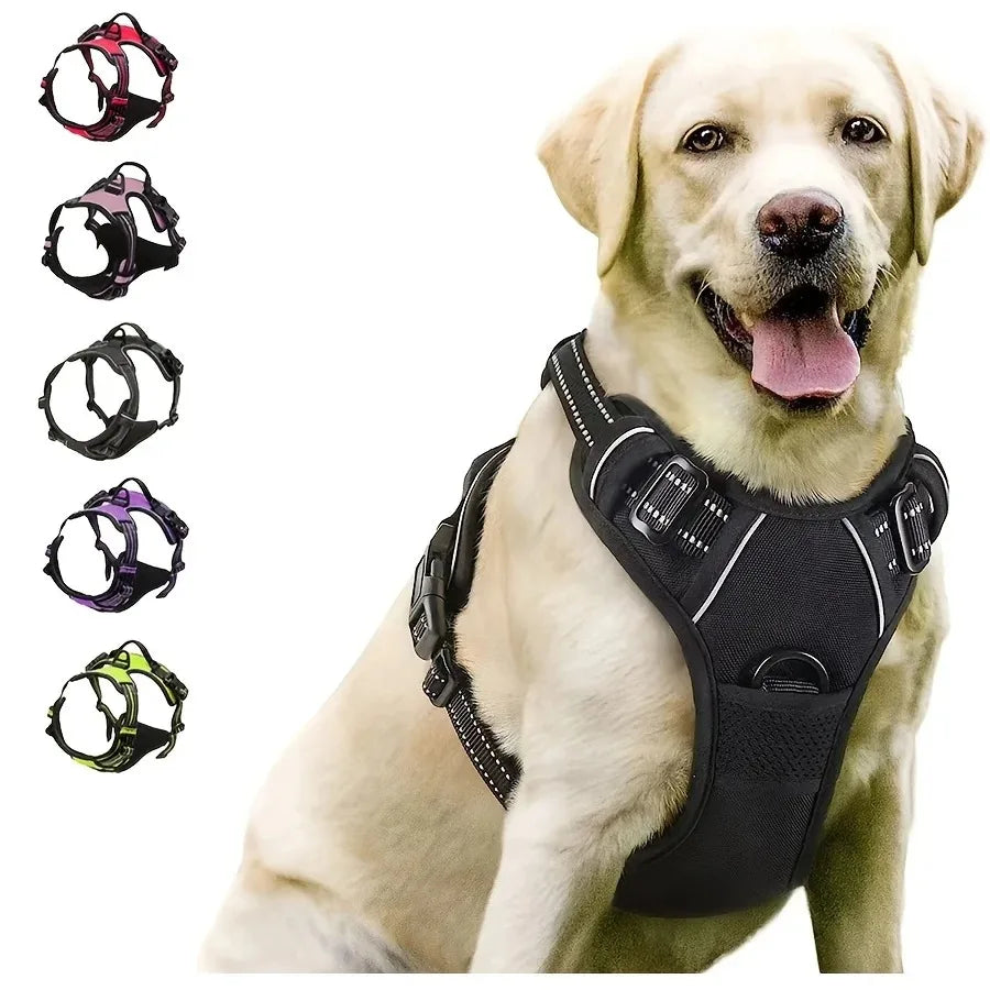 Hundehalsband-Set aus Leder – Halsband, Geschirr & Leine, für kleine bis große Hunde, alle Lebensphasen