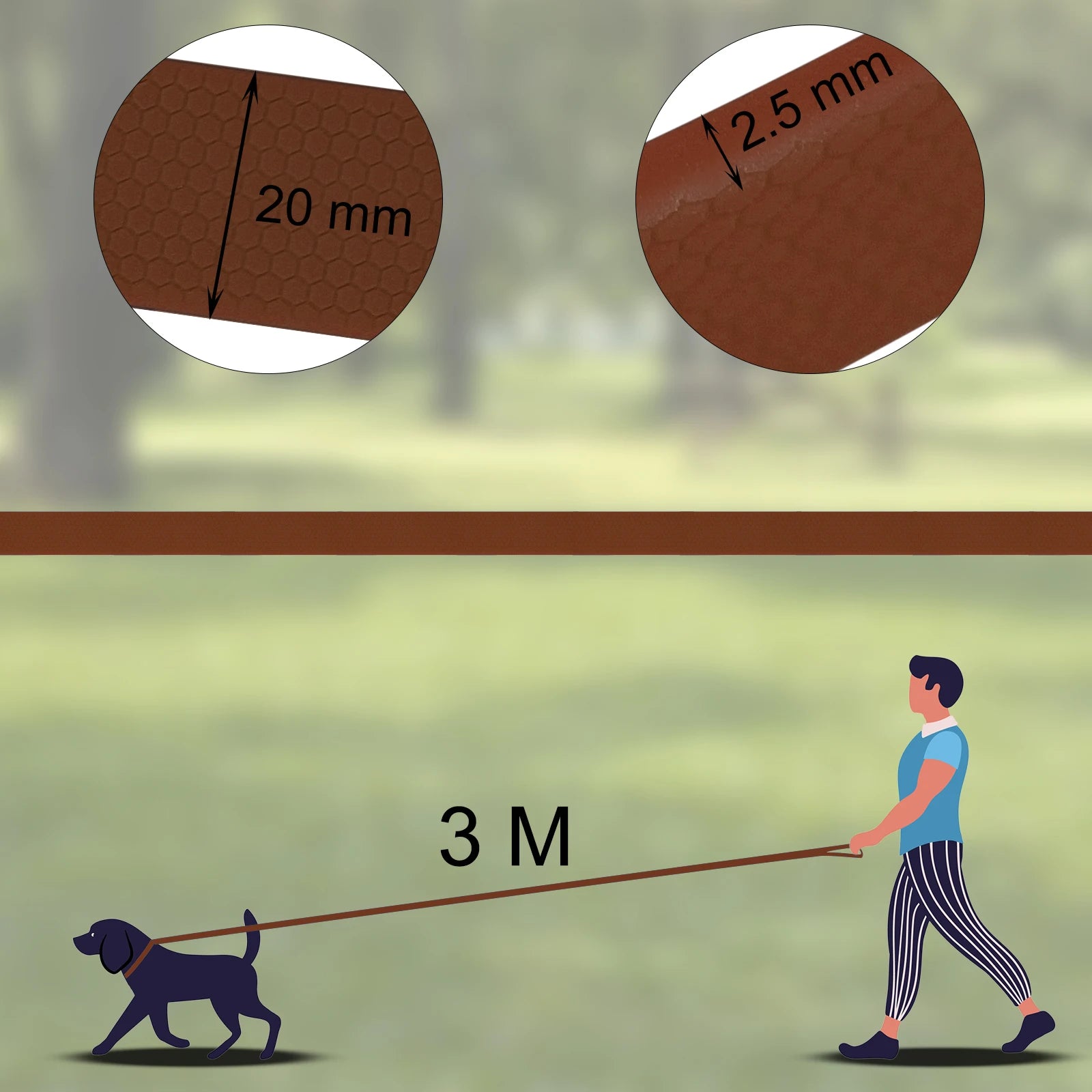 Hundeleine 3M/6M – Verstellbare PVC Ausziehleine für kleine & große Hunde