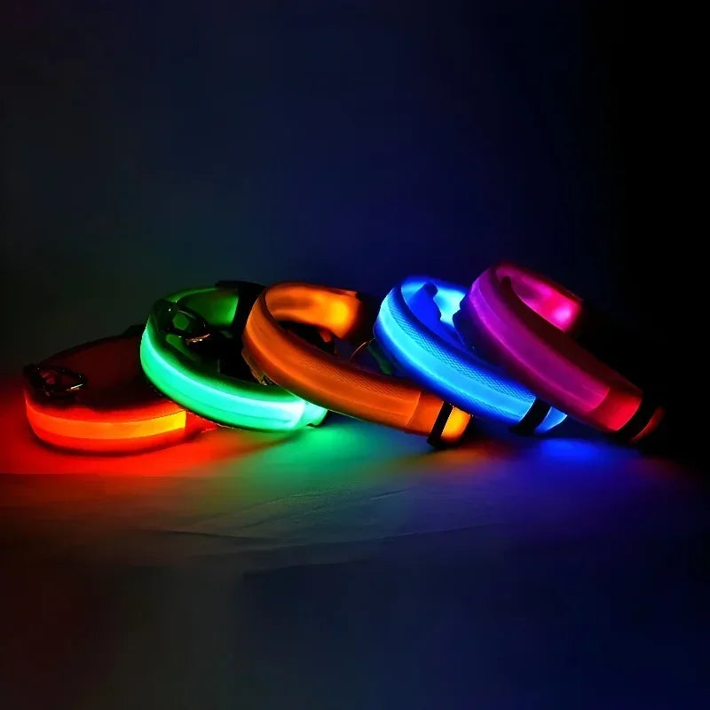 LED Hundehalsband Nylon – Blinkend, Nachtsicher, Wasserdicht