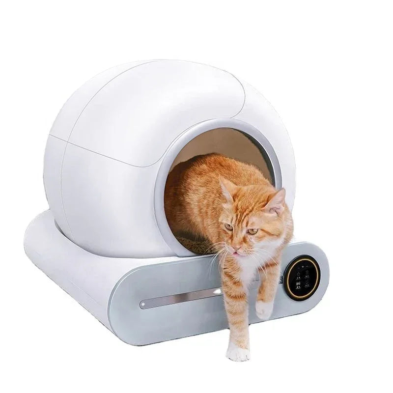 Smarte Katzentoilette – Vollautomatisch mit App-Steuerung