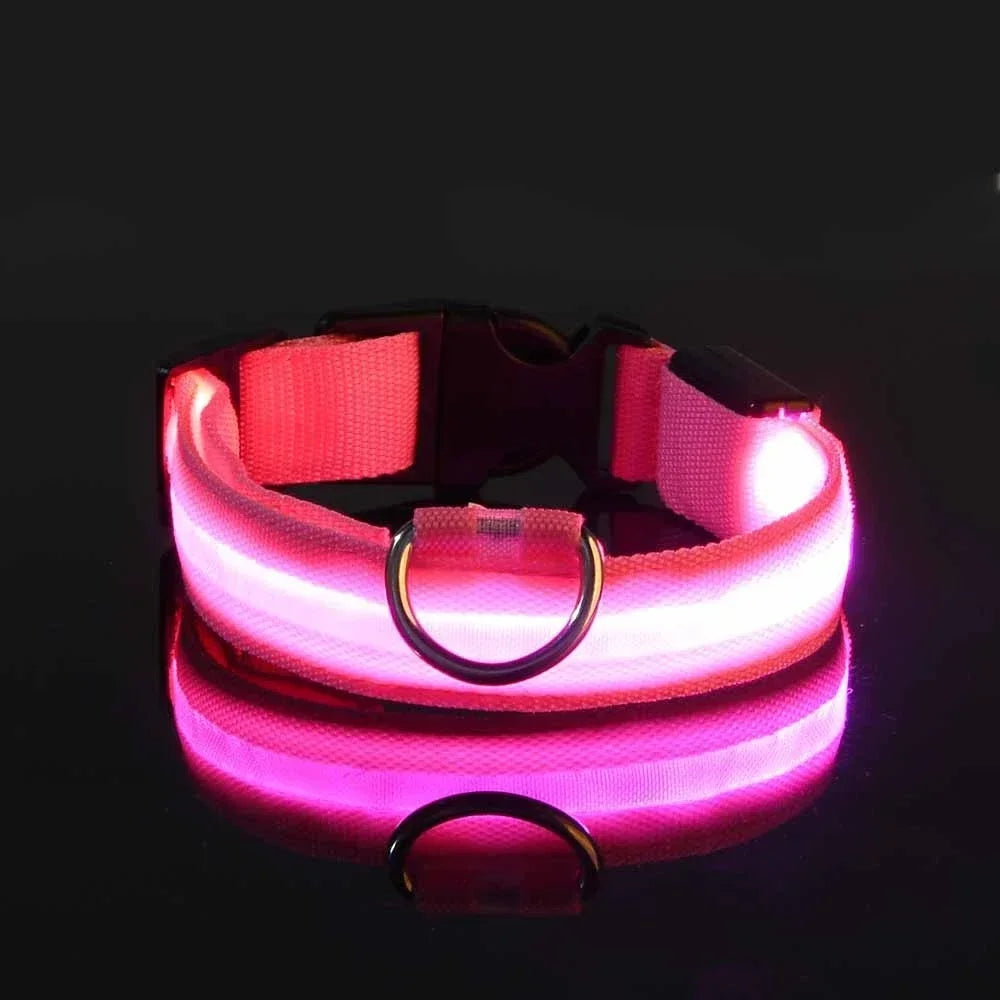 LED Hundehalsband Nylon – Blinkend, Nachtsicher, Wasserdicht