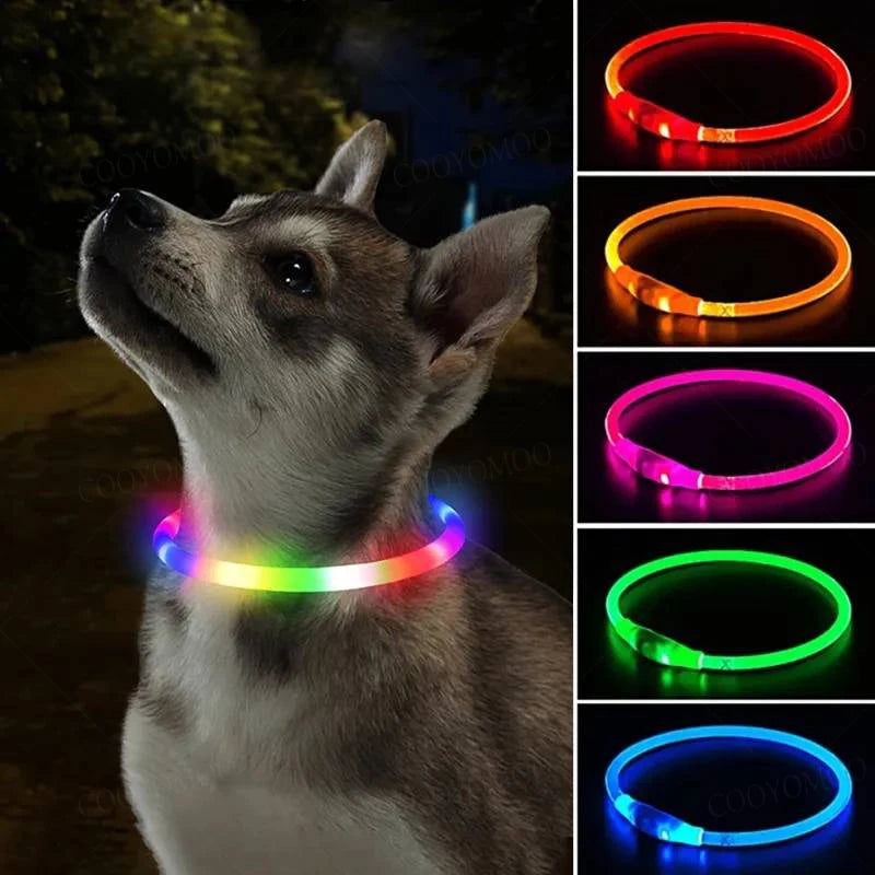 LED Hundehalsband USB Aufladbar – 4 Leuchtmodi, Silikon, Abnehmbar, Nachtsichtbar
