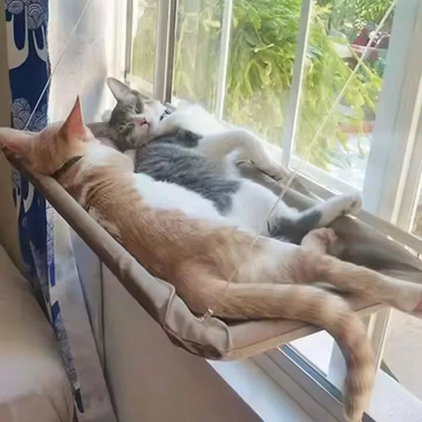 Katzen-Hängematte Fenster – Saugnäpfe, sicherer Aussichtsplatz, verstellbar