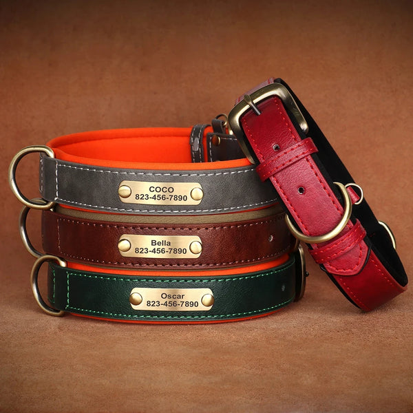 Personalisiertes Hundehalsband aus Leder – Graviertes Namensschild, Verstellbar