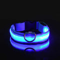 LED Hundehalsband Nylon – Blinkend, Nachtsicher, Wasserdicht