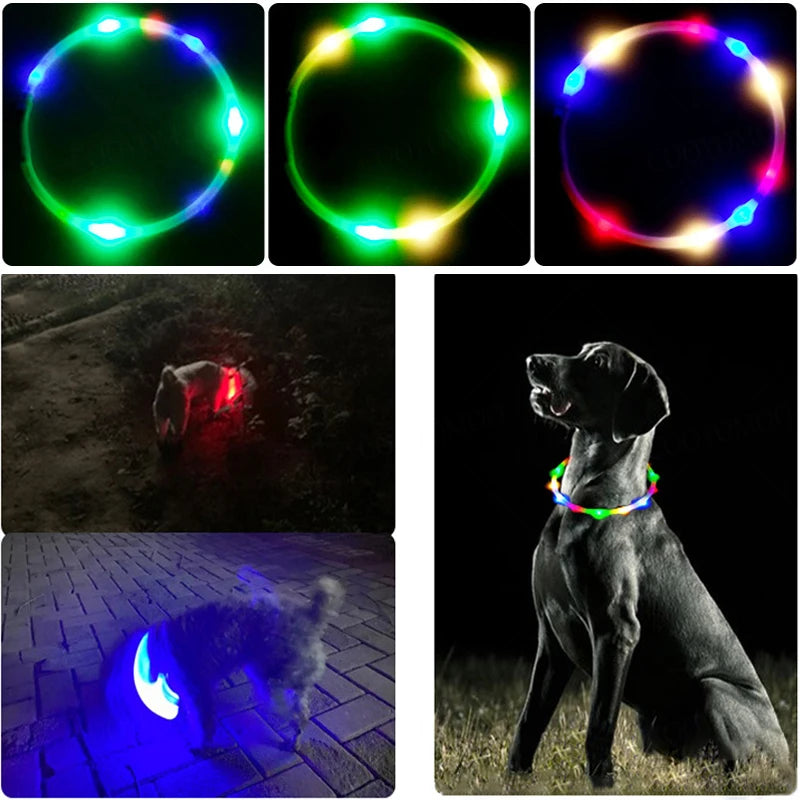 LED Hundehalsband USB Aufladbar – 4 Leuchtmodi, Silikon, Abnehmbar, Nachtsichtbar