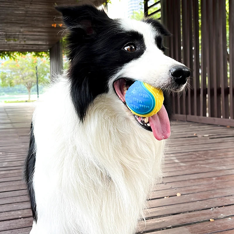 Interaktiver Spielball für Hunde – Zahnpflege & Kau-Spaß