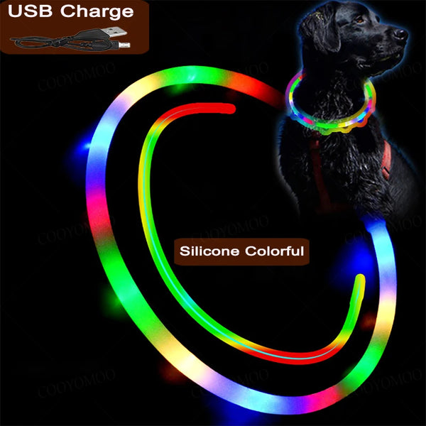 LED Hundehalsband USB Aufladbar – 4 Leuchtmodi, Silikon, Abnehmbar, Nachtsichtbar