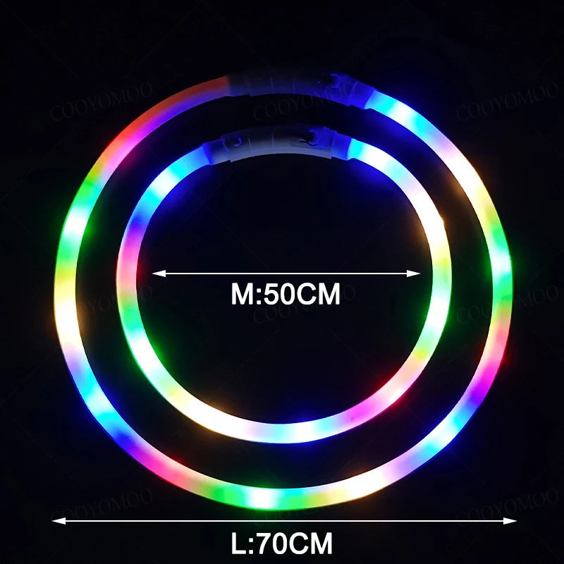 LED Hundehalsband USB Aufladbar – 4 Leuchtmodi, Silikon, Abnehmbar, Nachtsichtbar