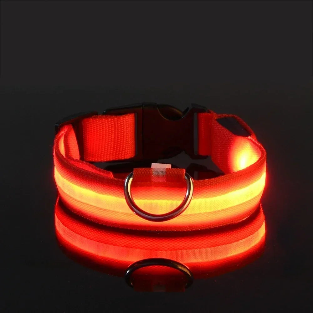LED Hundehalsband Nylon – Blinkend, Nachtsicher, Wasserdicht