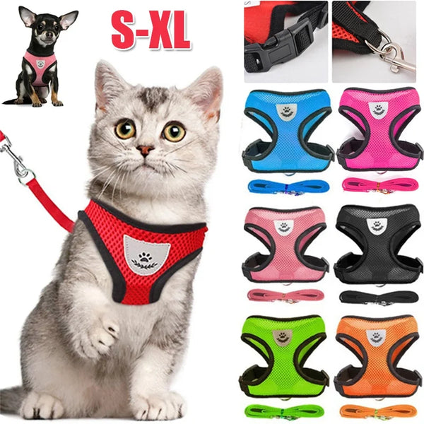 Katzen- und Hundegeschirr mit Leine – Verstellbare Weste, atmungsaktives Mesh, reflektierend, für kleine Tiere