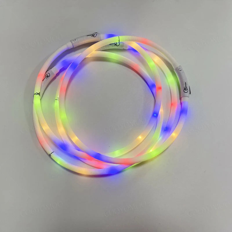 LED Hundehalsband USB Aufladbar – 4 Leuchtmodi, Silikon, Abnehmbar, Nachtsichtbar