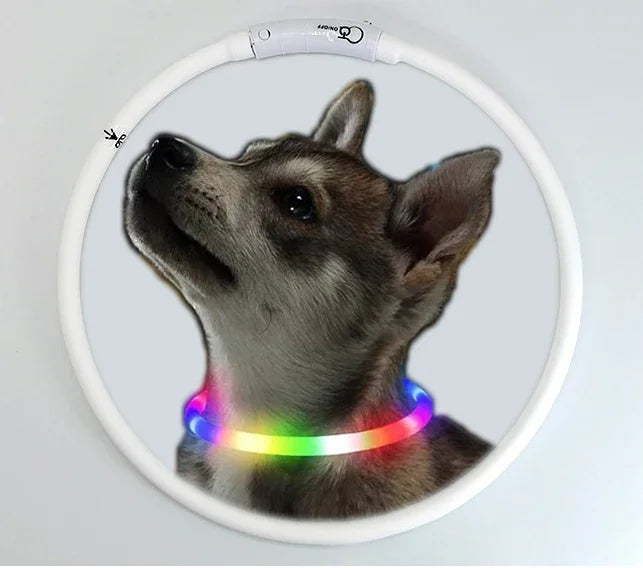 LED Hundehalsband USB Aufladbar – 4 Leuchtmodi, Silikon, Abnehmbar, Nachtsichtbar