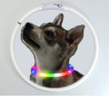 LED Hundehalsband USB Aufladbar – 4 Leuchtmodi, Silikon, Abnehmbar, Nachtsichtbar