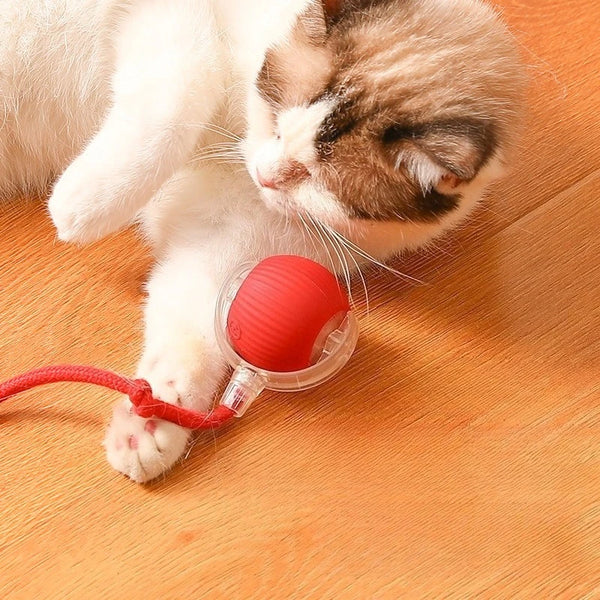 Automatisches Katzenspielzeug – Interaktiver Rollball, elektrisch & wiederaufladbar