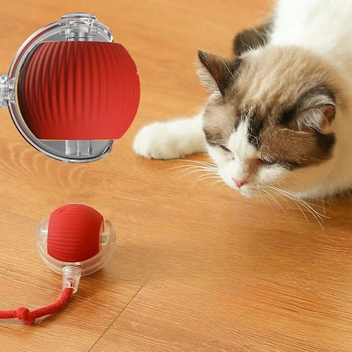 Automatisches Katzenspielzeug – Interaktiver Rollball, elektrisch & wiederaufladbar