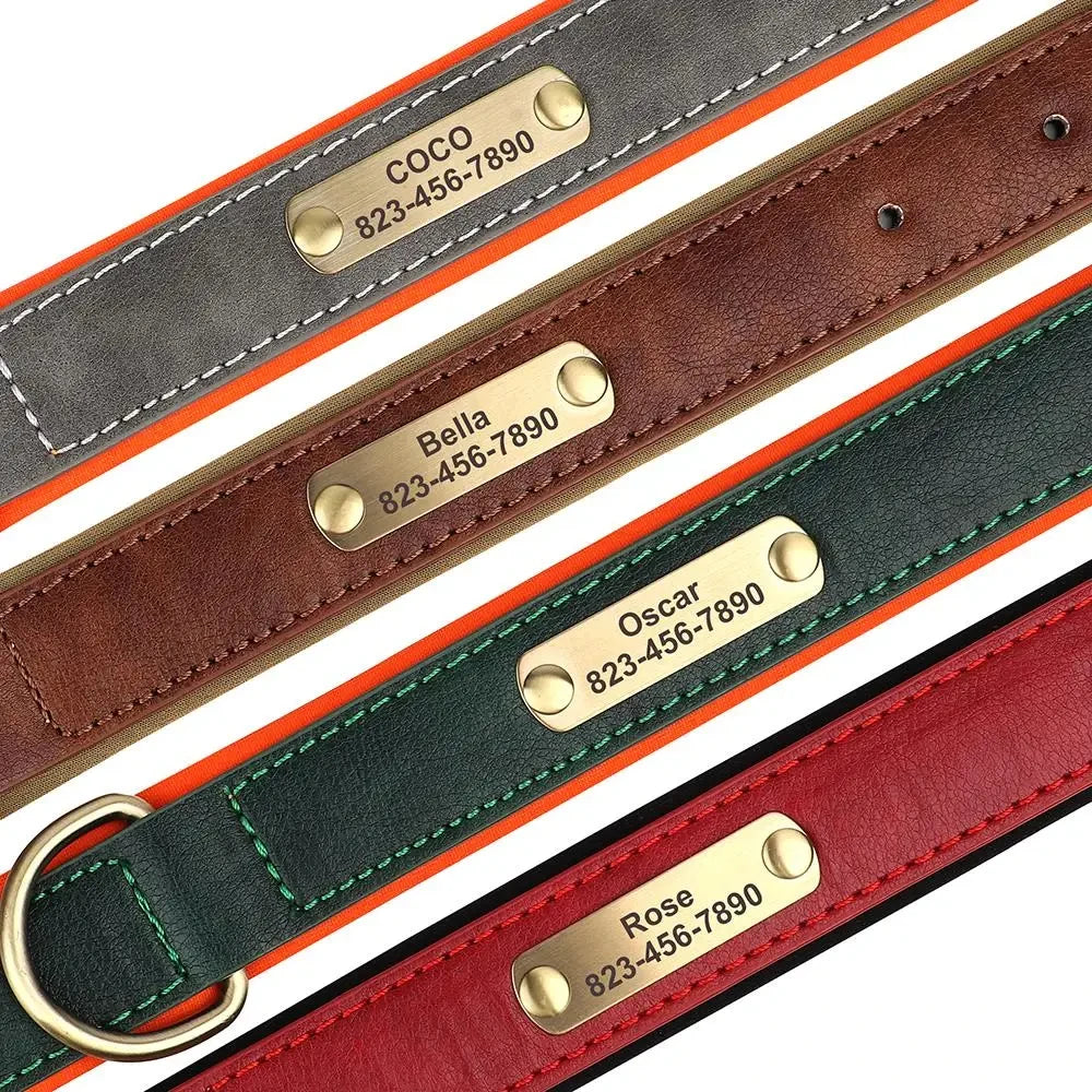 Personalisiertes Hundehalsband aus Leder – Graviertes Namensschild, Verstellbar