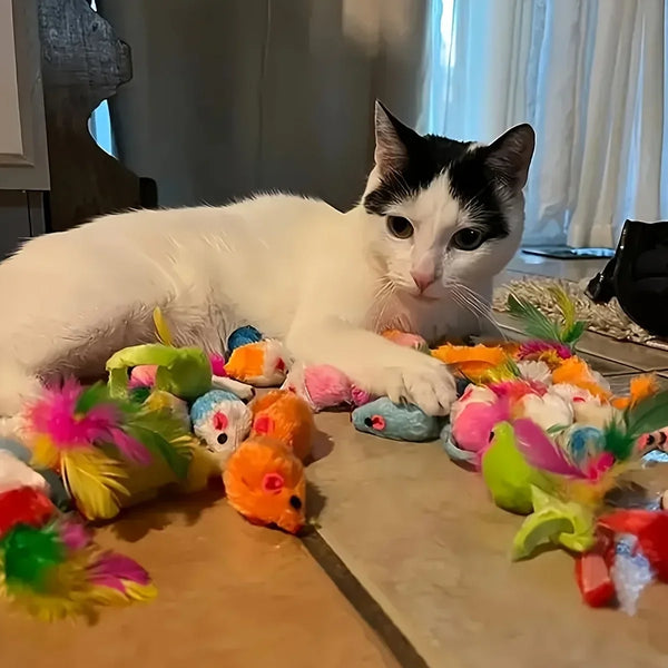 Katzenspielzeug Set – Gemischte Packung mit Plüsch- & Plastikspielzeug