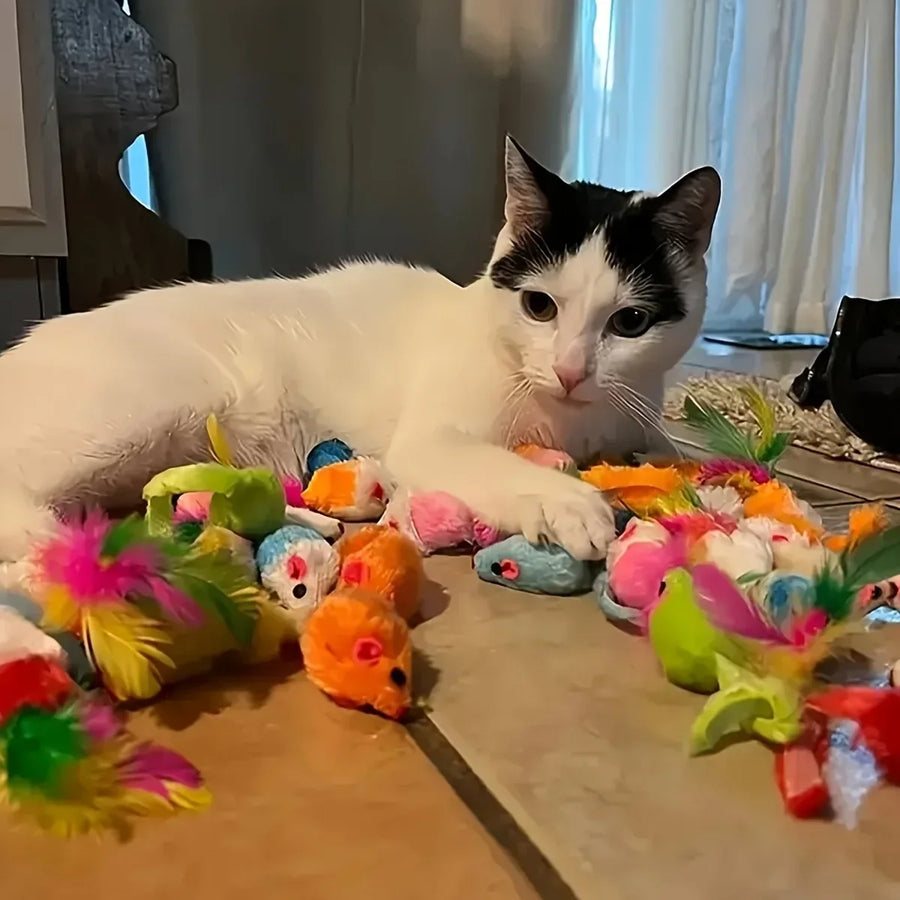 Katzenspielzeug Set – Gemischte Packung mit Plüsch- & Plastikspielzeug