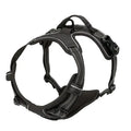 Hundehalsband-Set aus Leder – Halsband, Geschirr & Leine, für kleine bis große Hunde, alle Lebensphasen