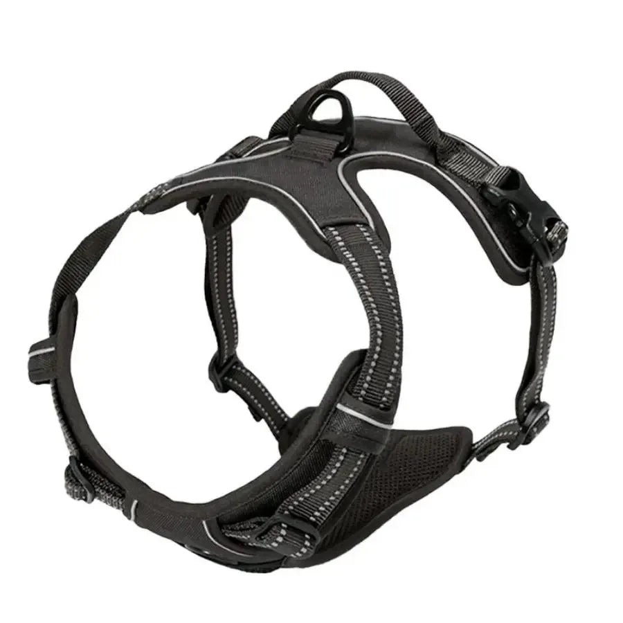 Hundehalsband-Set aus Leder – Halsband, Geschirr & Leine, für kleine bis große Hunde, alle Lebensphasen